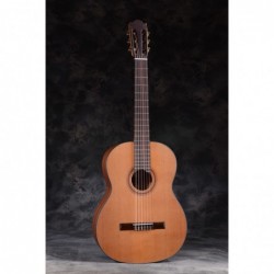 MARTINEZ MODELO  ESPAÑA   ES-04C Tapa de Cedro BRILLO