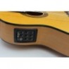 C320.580CE V Guitarra Flamenca Jose Rincon - Fondo de Sicomoro con Tapa de Abeto - Cenefa Verde - Amplificada con Cutaway