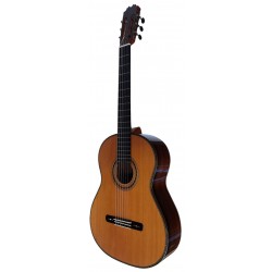Antonio De Toledo Modelo AAT-15C CON ESTUCHE DE ABS - Tapa Maciza de Cedro y Fondo y Aros de Palosanto