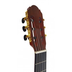 Vicente Tatay C320.301F Guitarra Flamenca - Acabado Ambar con golpeador instalado.