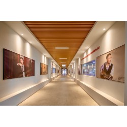 Martinez MF5 Guitarra Flamenca de Palosanto y Tapa Maciza