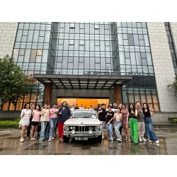 Martinez MF5 Guitarra Flamenca de Palosanto y Tapa Maciza