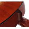 Vicente Tatay C320.302C Guitarra Clasica - Fondo de Sapeli con Tapa de Abeto - Acabado Brillo