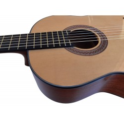 Vicente Tatay C320.302C Guitarra Clasica - Fondo de Sapeli con Tapa de Abeto - Acabado Brillo