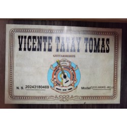 C320.580RS Roja Guitarra Flamenca Vicente Tatay - Fondo de Palosanto con Tapa de Abeto - Acabado Brillo Teñida de Rojo