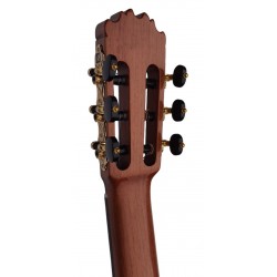 Martinez MF5 Guitarra Flamenca de Palosanto y Tapa Maciza