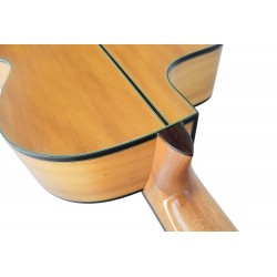 Vicente Tatay C320.580CE – Guitarra Flamenca Amplificada con Cutaway, Previo Joyo, Alma Ajustable y Golpeador