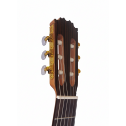 Vicente Tatay C320.580 – Guitarra Flamenca con Tapa de Abeto, Cuerpo de Sicomoro, Alma Ajustable y Golpeador